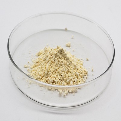 sodium polyacrylate vs polyacrylamide at japan marketing